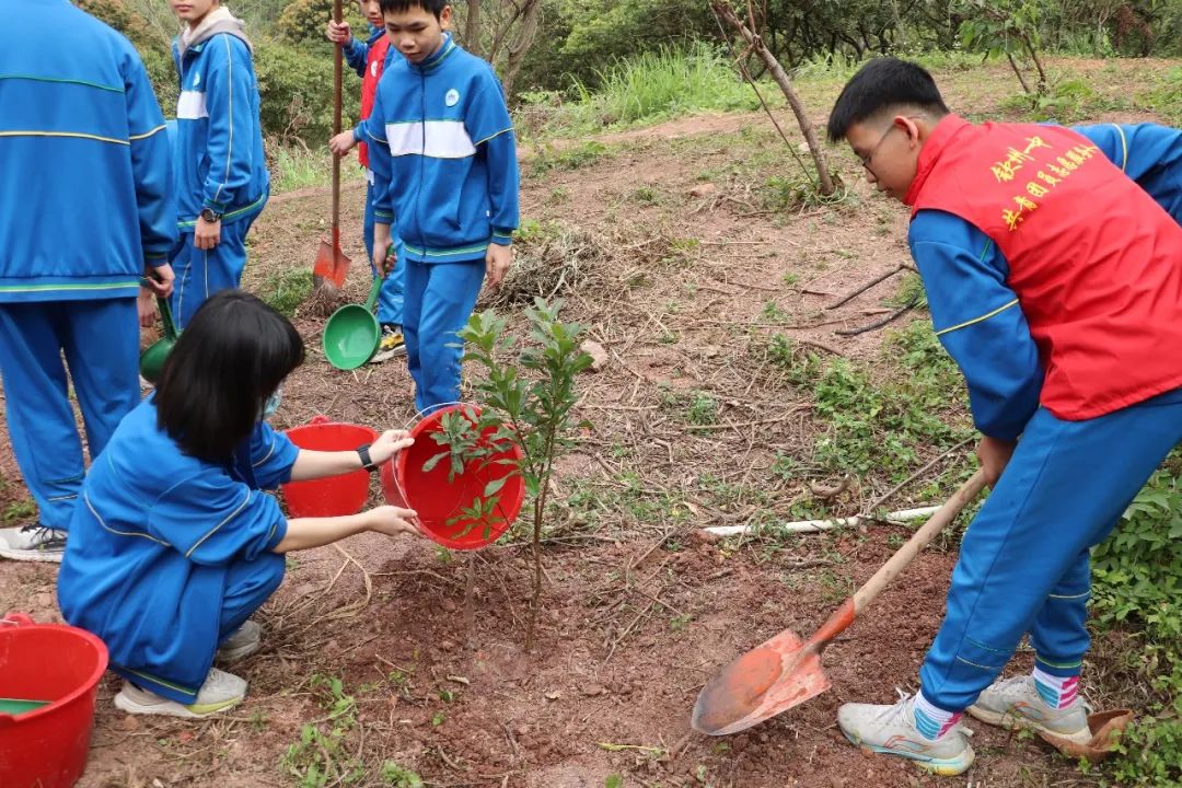 杨柳抽芽始于人，万物萌发源于春——记钦州市第一中学龙岗校区植树活动”