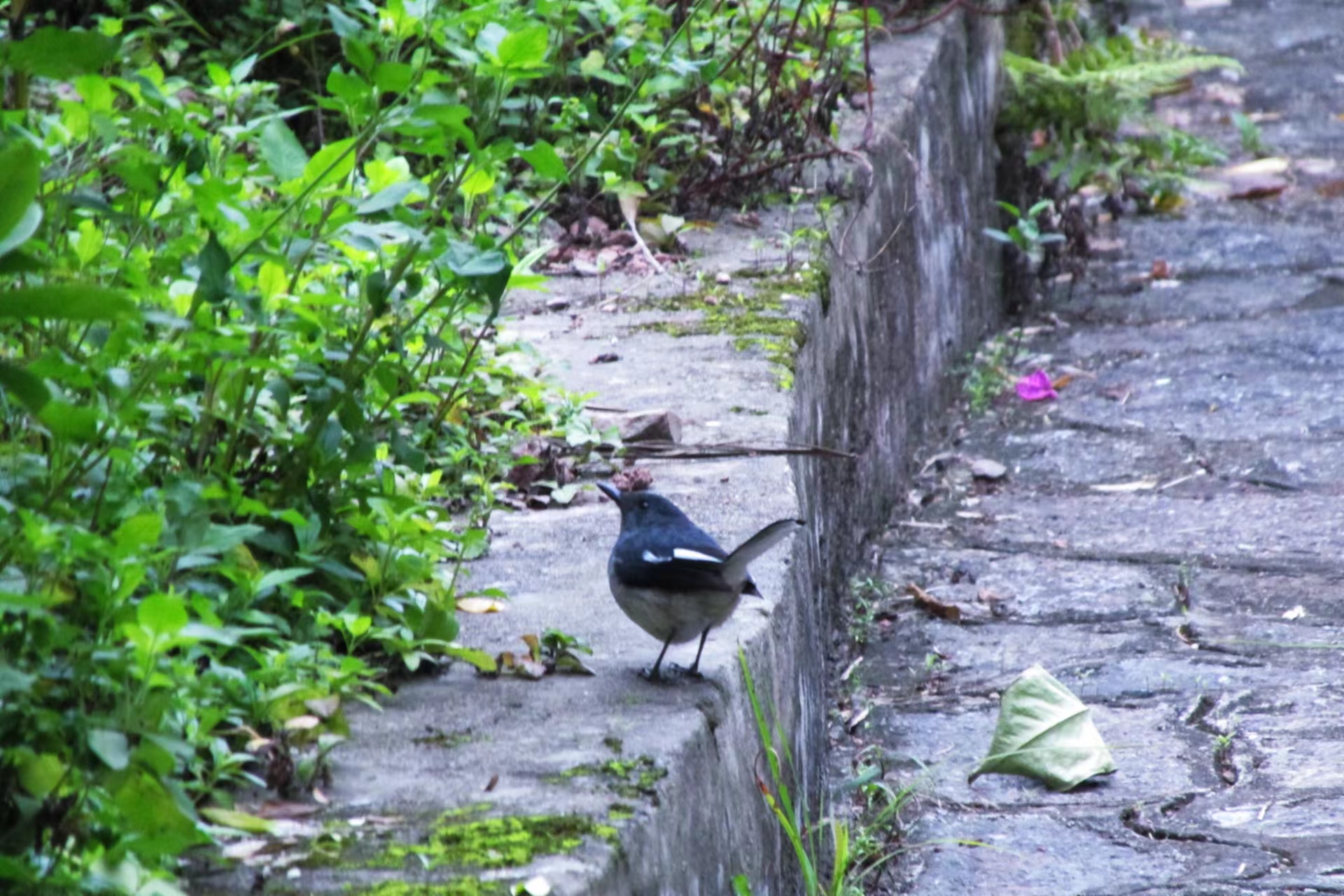 《春辰》邹小熔